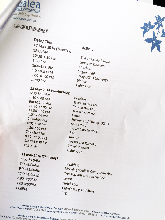 Azalea Flower Red Best Flower Wallpaper