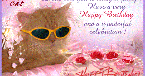  Funny Cat Happy Birthday Wishes Cards Wallpaper Festival Chaska