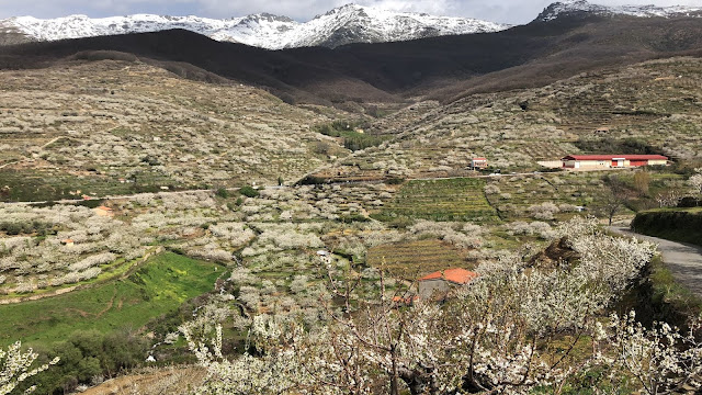 AlfonsoyAmigos - Valle del Jerte - Rutas MTB
