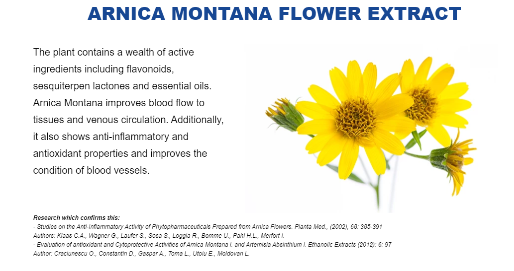 Arnica Montana Flower
