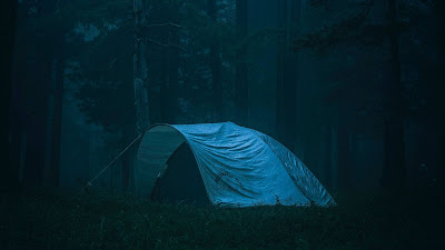 HD Wallpaper Scene, Camping, Forest, Fog, Nature HD Wallpaper Scene, Camping, Forest, Fog, Nature