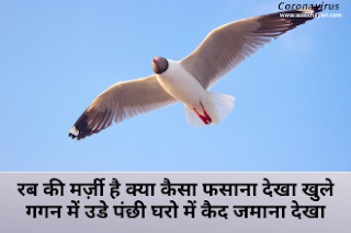 coronavirus india awareness status for whatsapp coronavirus awareness status whatsapp