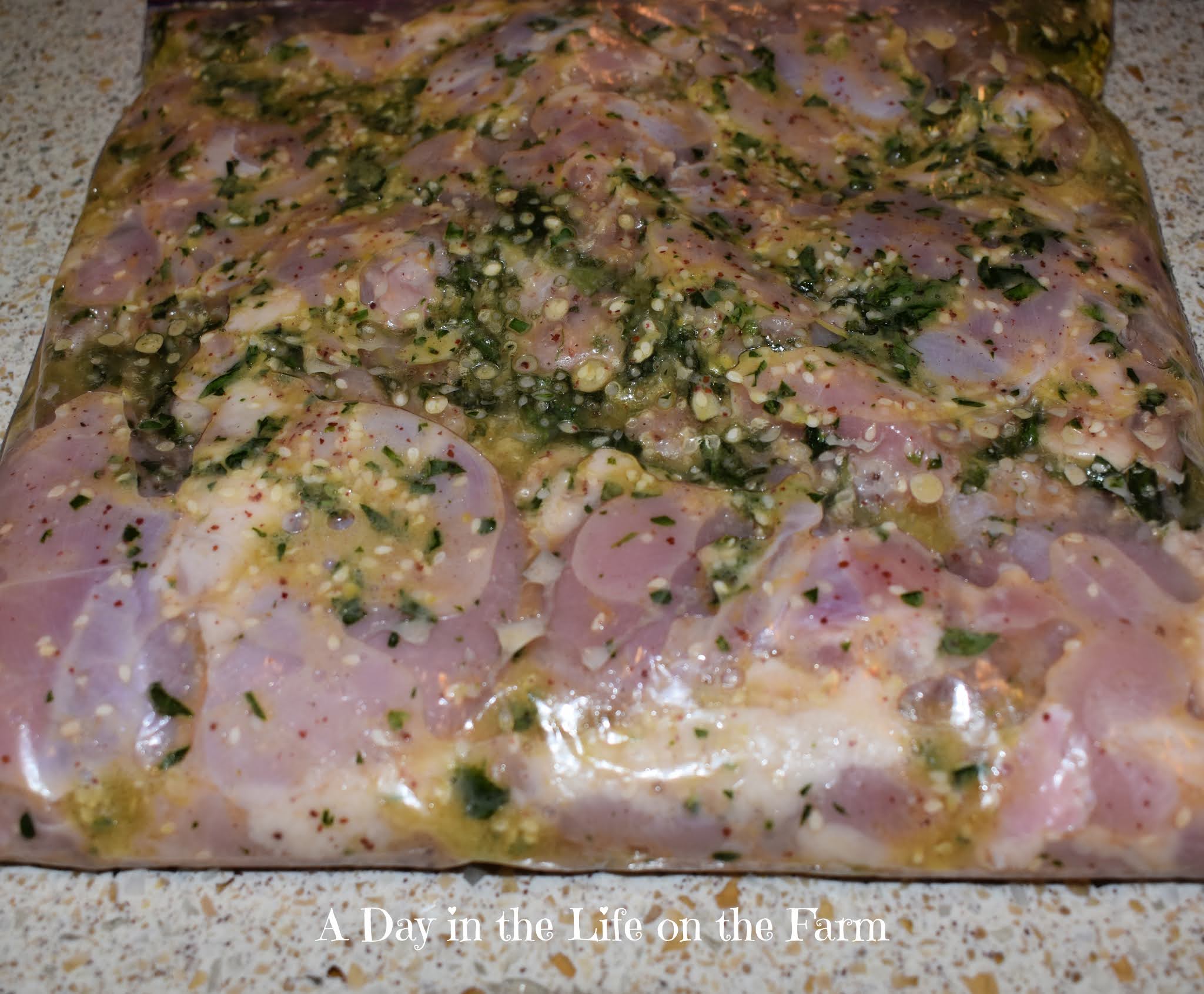 A Day in the Life on the Farm Garlic and Herb Marinated Chicken Thighs