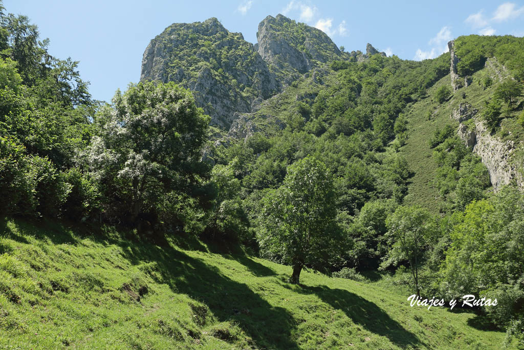 Foces de El Pino, Asturias