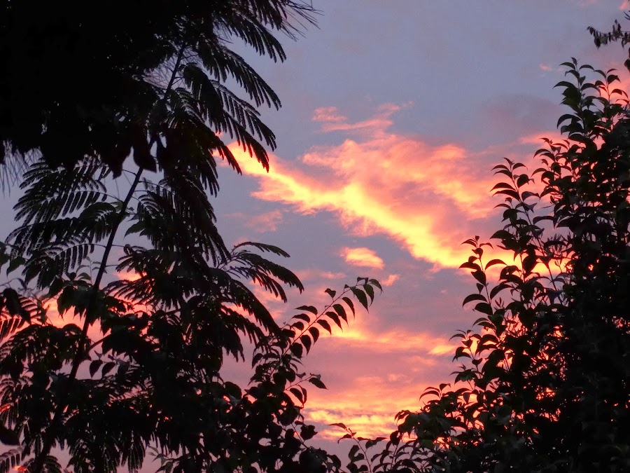 AMANECE EN EL TERRAO