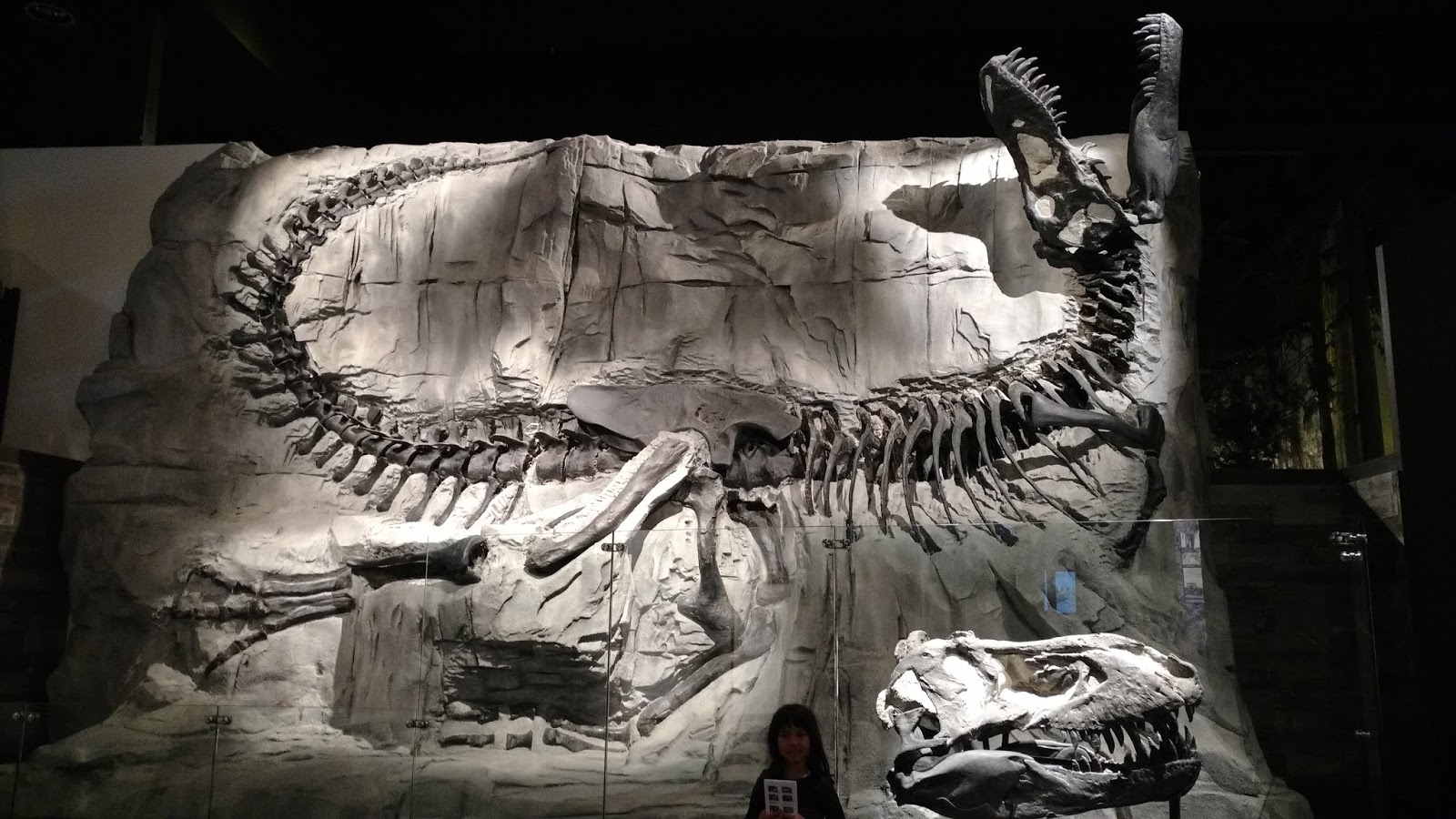 Exploring Drumheller Dinosaurs, Mining History, Biking, & More! Play Outside Guide