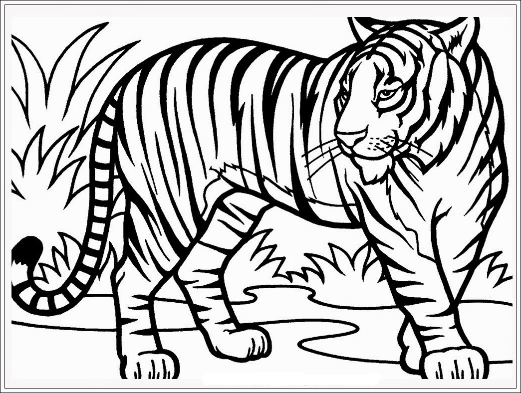 Gambar Kartun Hewan Harimau Gambar Gokil