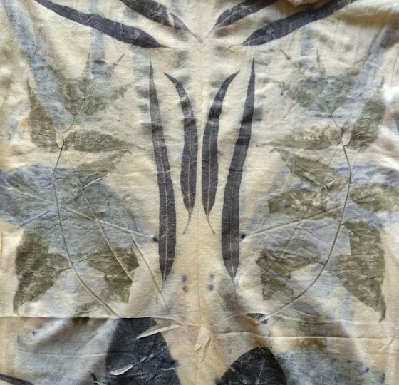 Eco Printing with Leaves #2