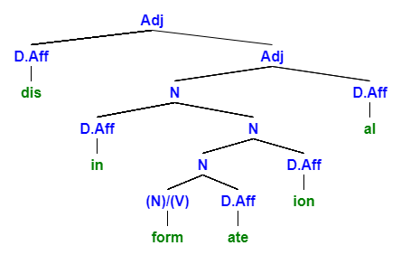 morphology plural nouns