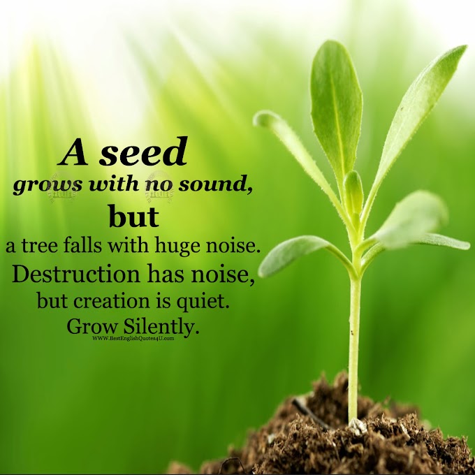 A seed grows with no sound, but a tree falls with huge...