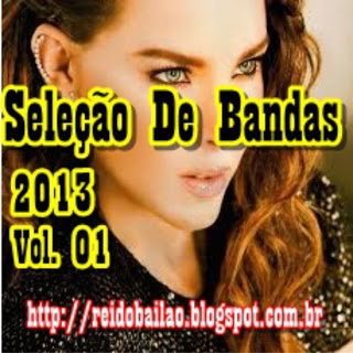 SELEÇÃO DE BANDAS 2013 VOL 01