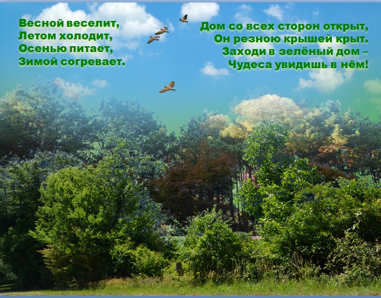 весной веселит летом холодит осенью. летом холодит зимой согревает весной веселит. весной веселит летом холодит осенью питает зимой. весной веселятлетомхолодят осенью питают зимой согрневают. загадка весной веселит летом холодит осенью питает зимой согревает.