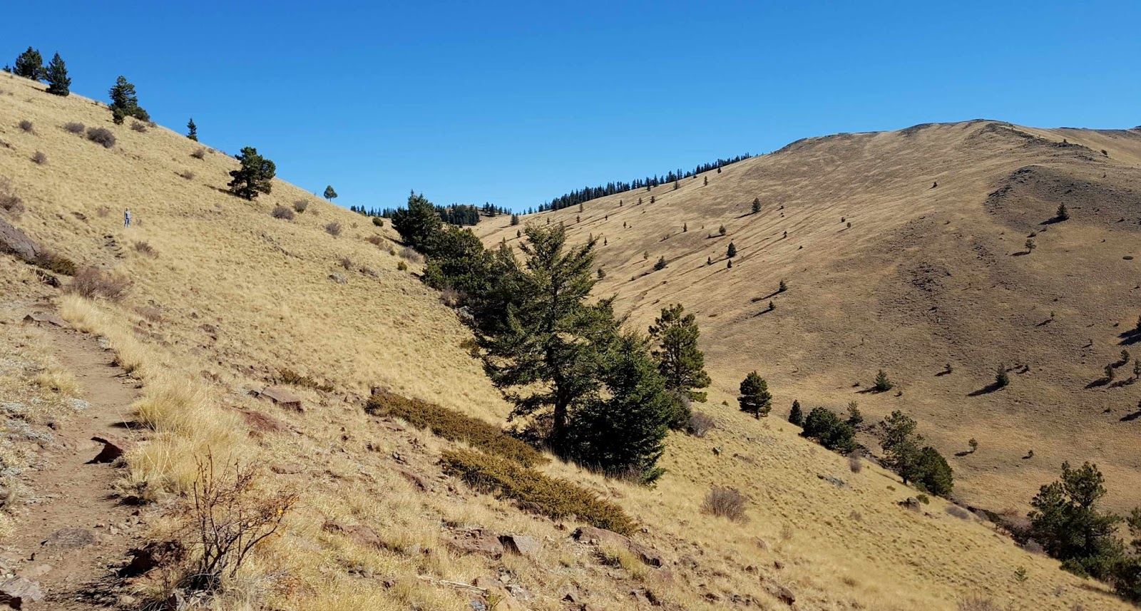 Wandering His Wonders Mount Taylor Summit It's hard to breath at