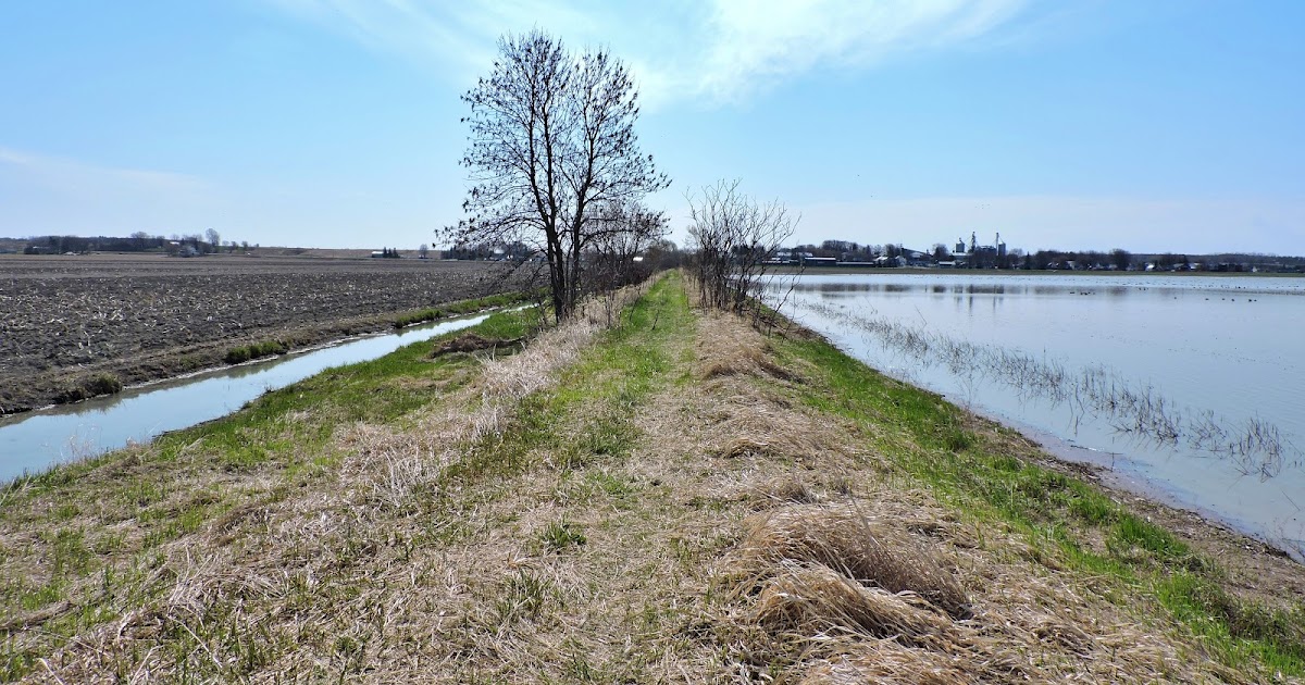 naturaliste Un 24 avril à BaieduFebvre