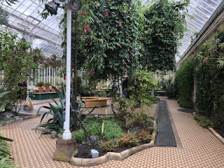 Wentworth Castle Conservatory