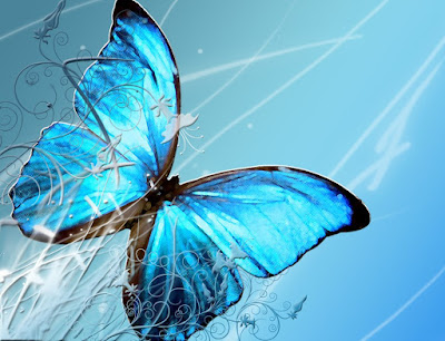 blue-butterfly-picture