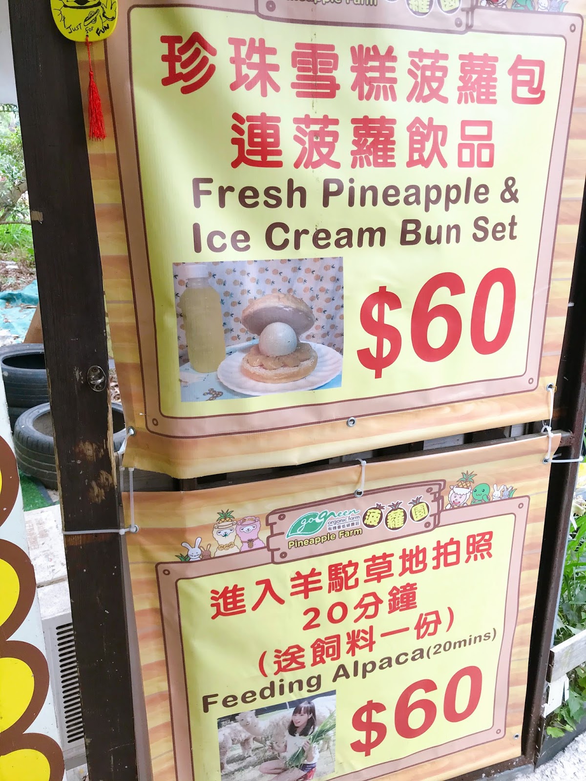 周末好去處 到菠蘿園親親草泥馬吧 U Blog