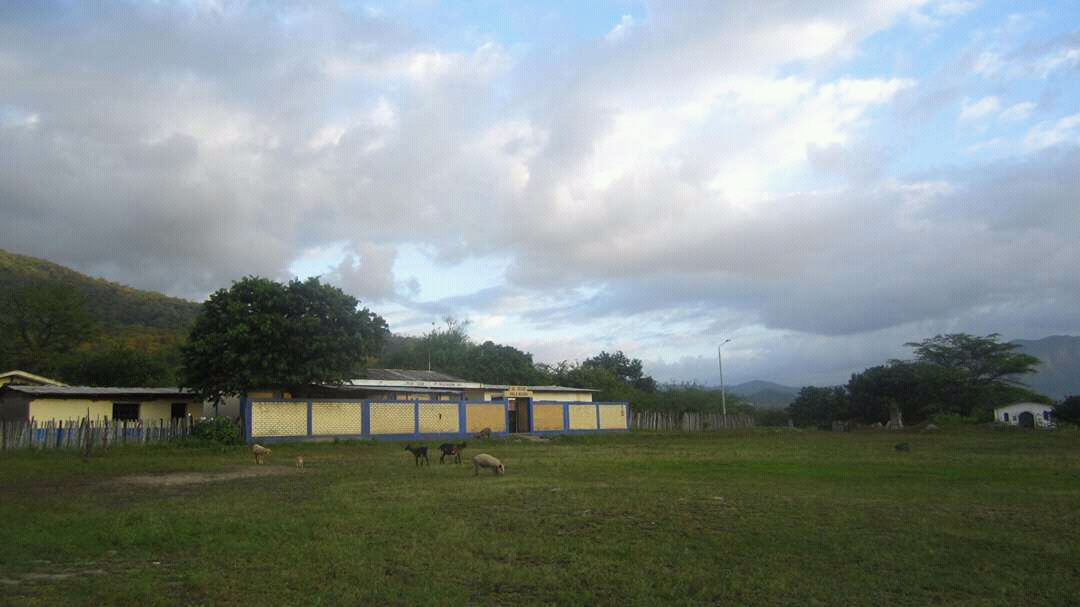 Escuela 20168 - Palo negro