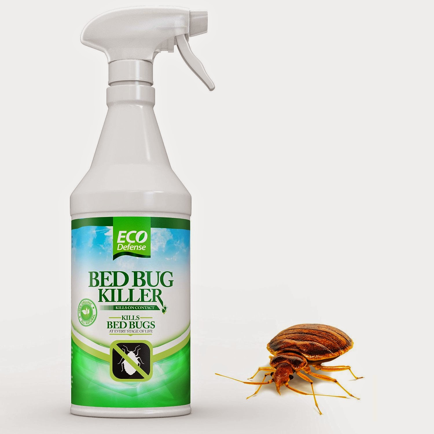 popular-product-reviews-by-amy-bed-bug-killer-by-eco-defense-review