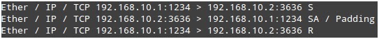 TechMight Solutions: SYN Flood Attack using SCAPY