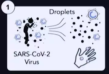 Coronavirus Update Coronavirus Update