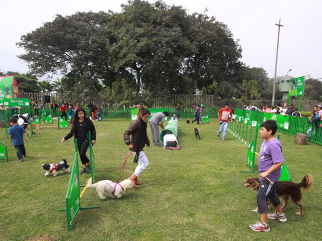 Parque para perros en San Borja