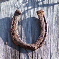 MODERN MATERIALS: What horseshoes are made of and why