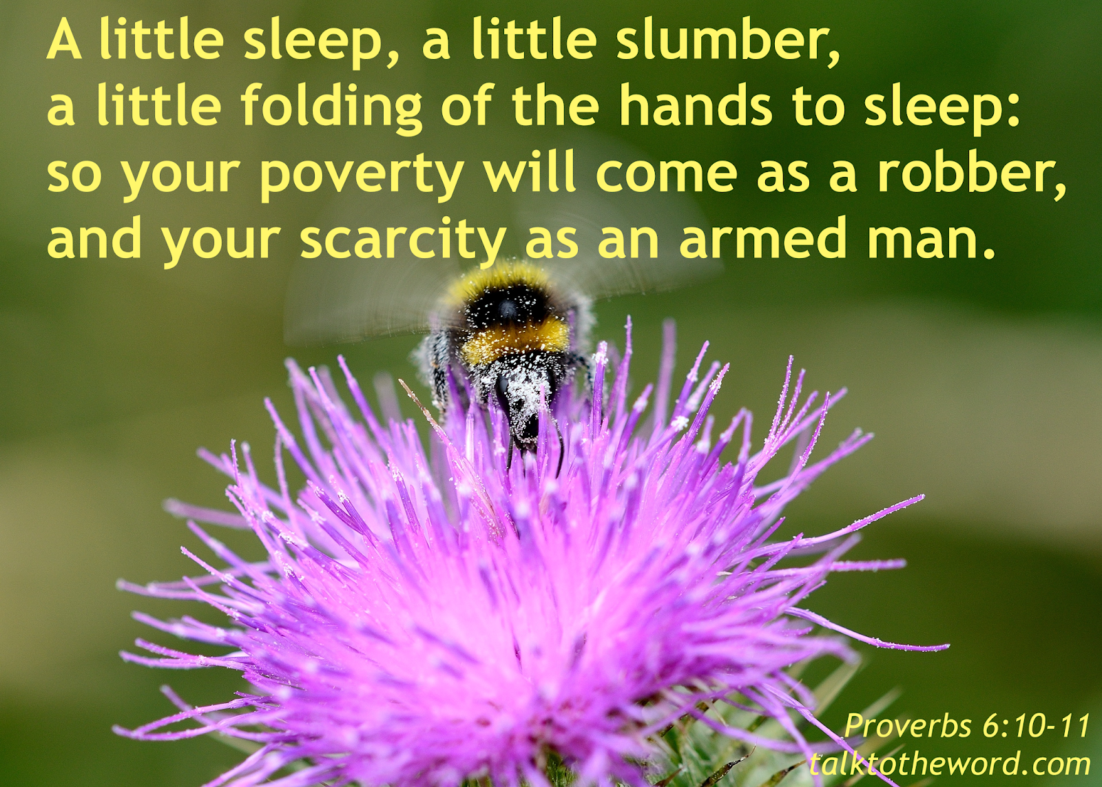 Proverbs 6 6 8 proverbs-6-6-8