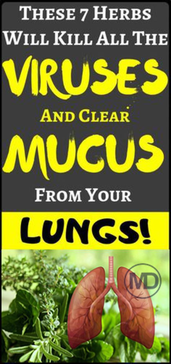 7 Herbs That Kill Viruses and Clear Mucus from Your Lungs medicine