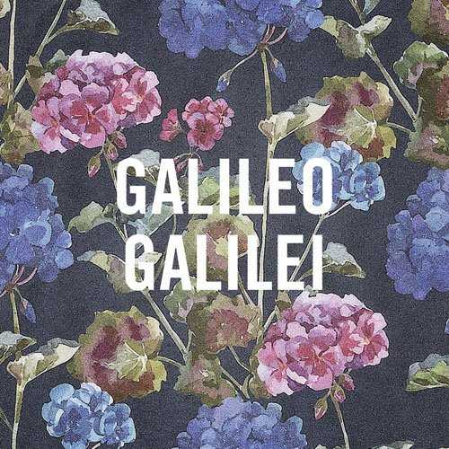 [Single] Galileo Galilei – 嵐のあとで (2015.06.10/MP3/RAR)