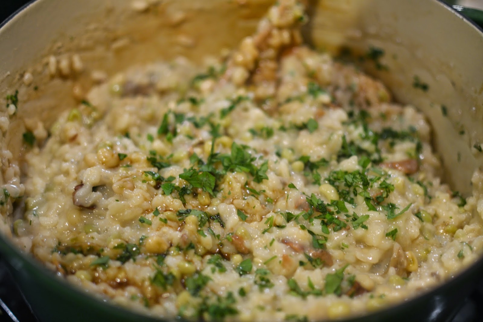 Weekend Food Project Risotto with Shrimp on the Big Green Egg