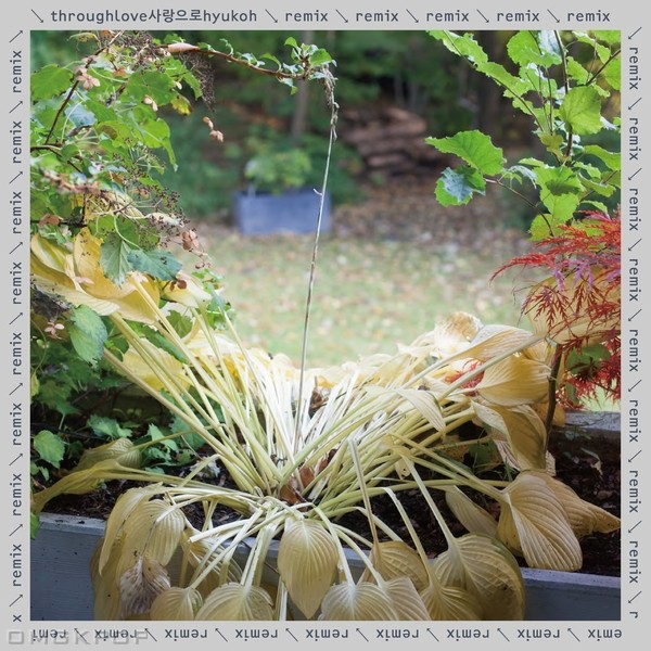 HYUKOH, Sunset Rollercoaster – Help (Sunset Rollercoaster Remake) – Single