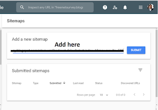 Google console xml paste and given domain