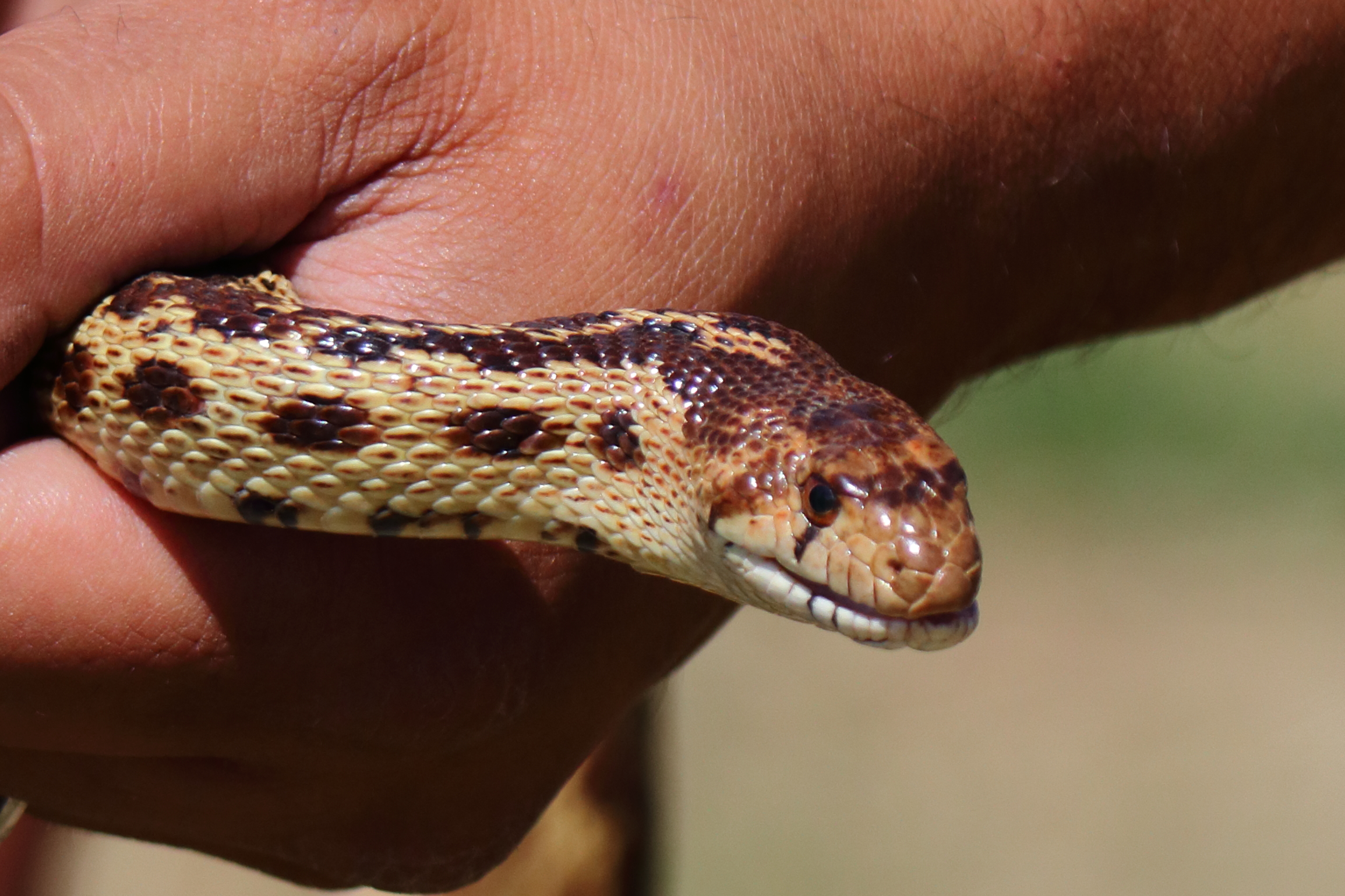 Coyote Lake County Park