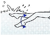 Image of kick in water toes pointed up