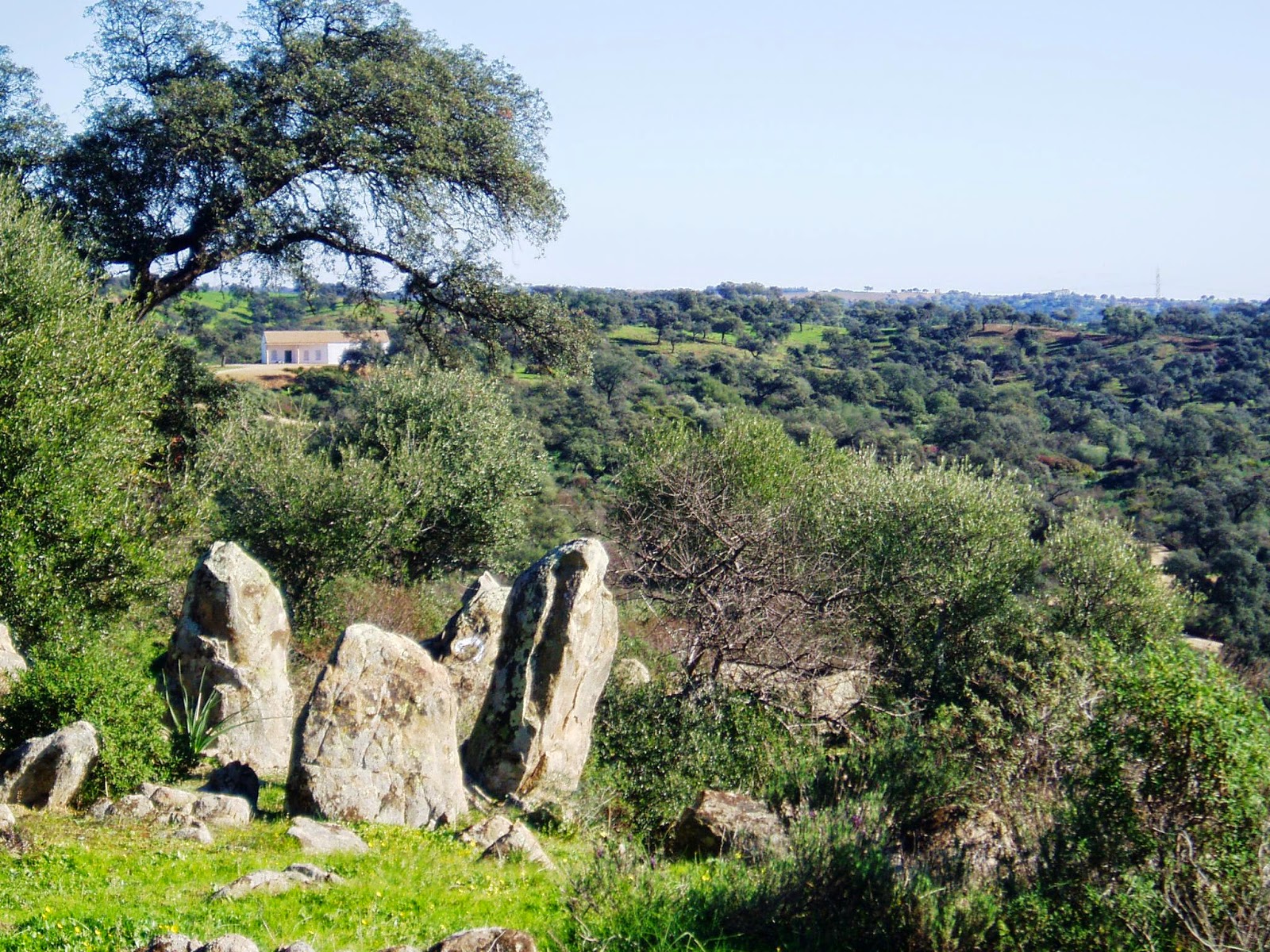 Foto de Parque La Zahurdilla (Las Pajanosas) en Guillena, Sevilla