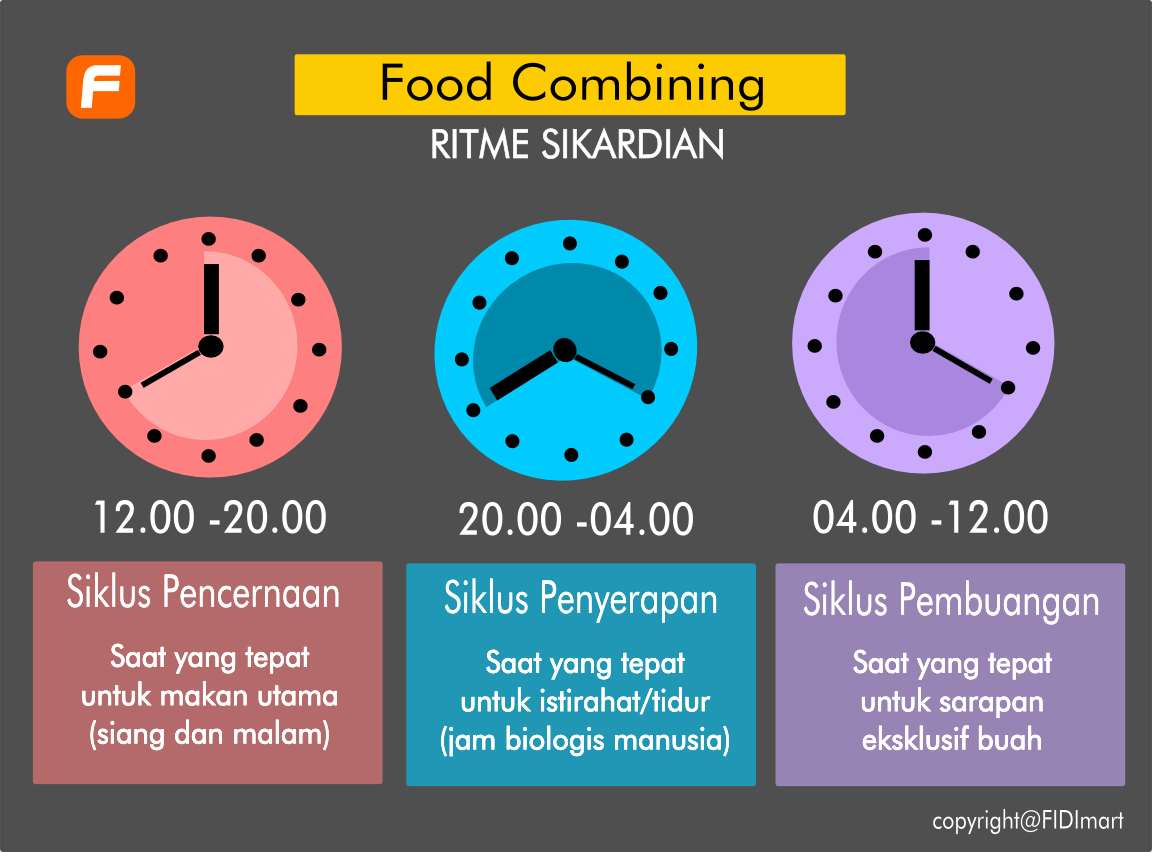 jadwal-ritme-sikardian-food-combining-food-combining