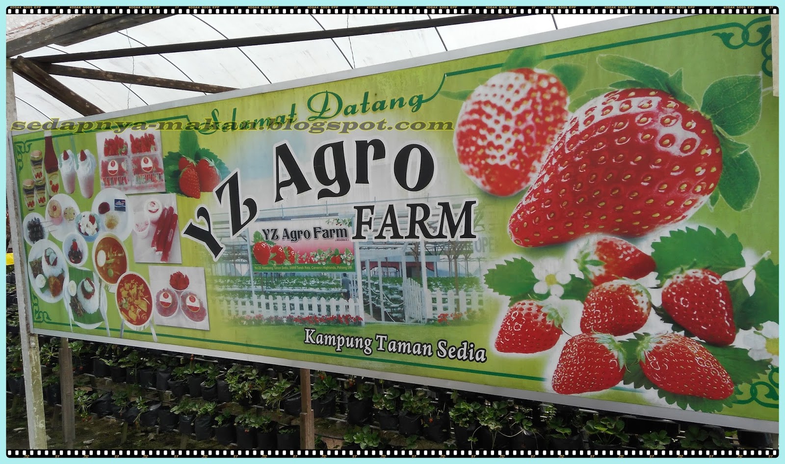 tempat menarik di Cameron Highlands