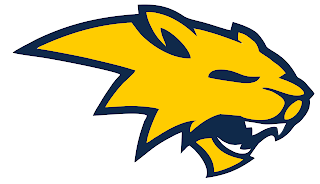 wildcat carnival neuqua fundraiser july nv 22nd 21st