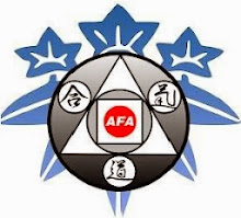 ¿Qué es la AFA?