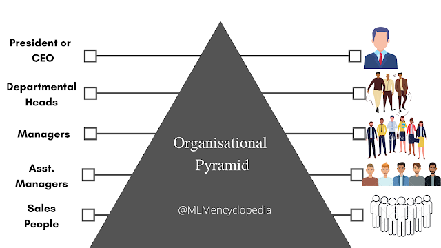 Network Marketing vs. Pyramid Scheme - What's The Difference - MLM ...