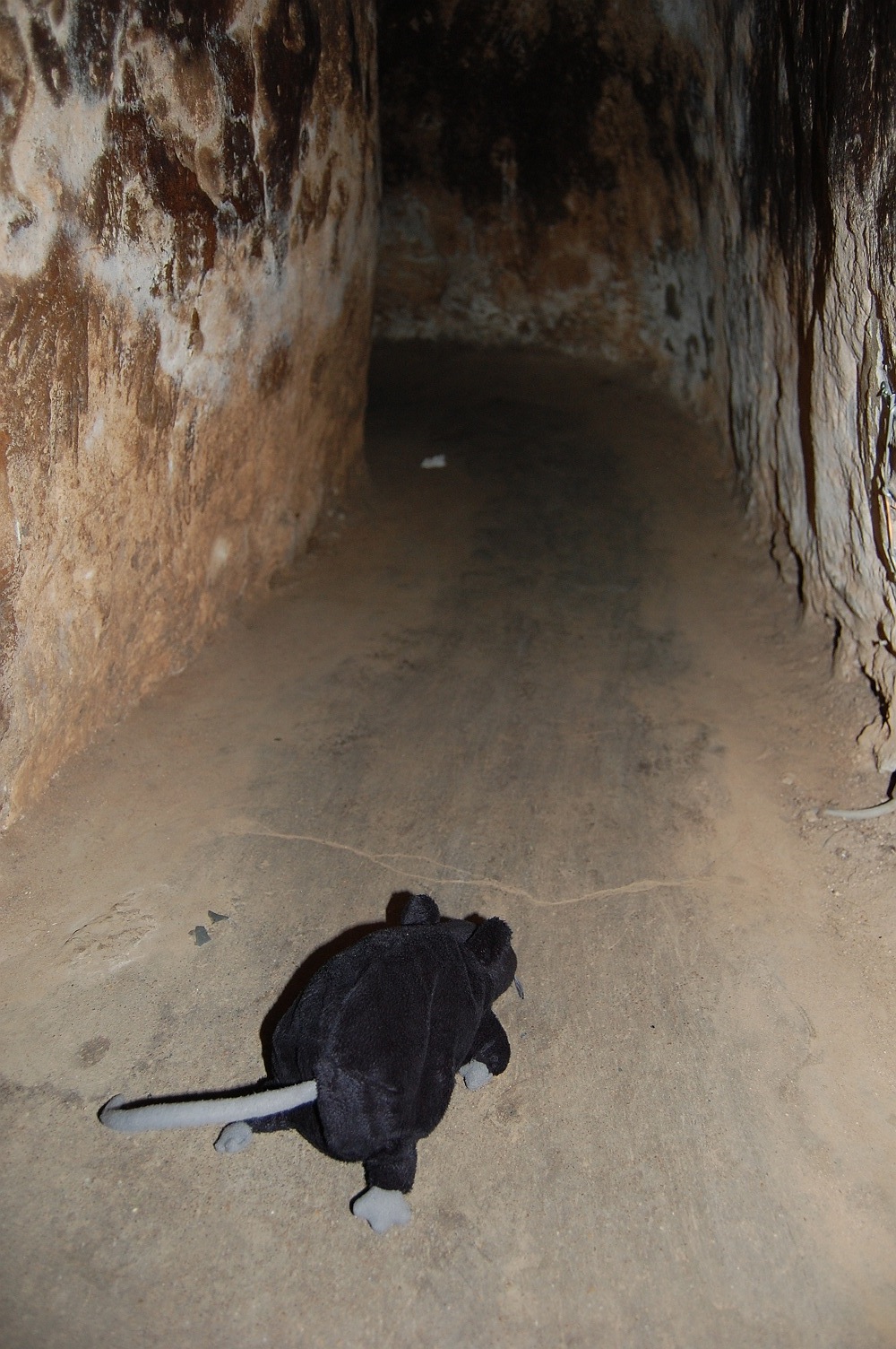 Rat's AroundtheWorld Adventure on Semester at Sea Vietnam Chu Chi