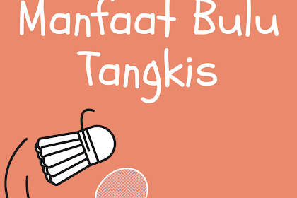 10 Manfaat Olahraga Bulu Tangkis Bagi Kesehatan 
