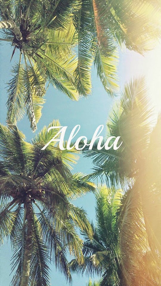 Aloha Palm Trees  Android Best Wallpaper