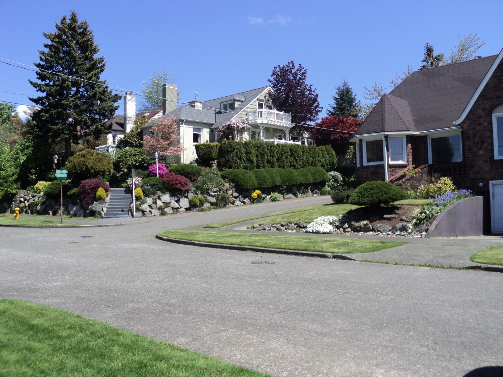 Maple Leaf Seattle Zillow at Mitchell Grantham blog