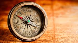 Fact Buddies Fun Facts Compass