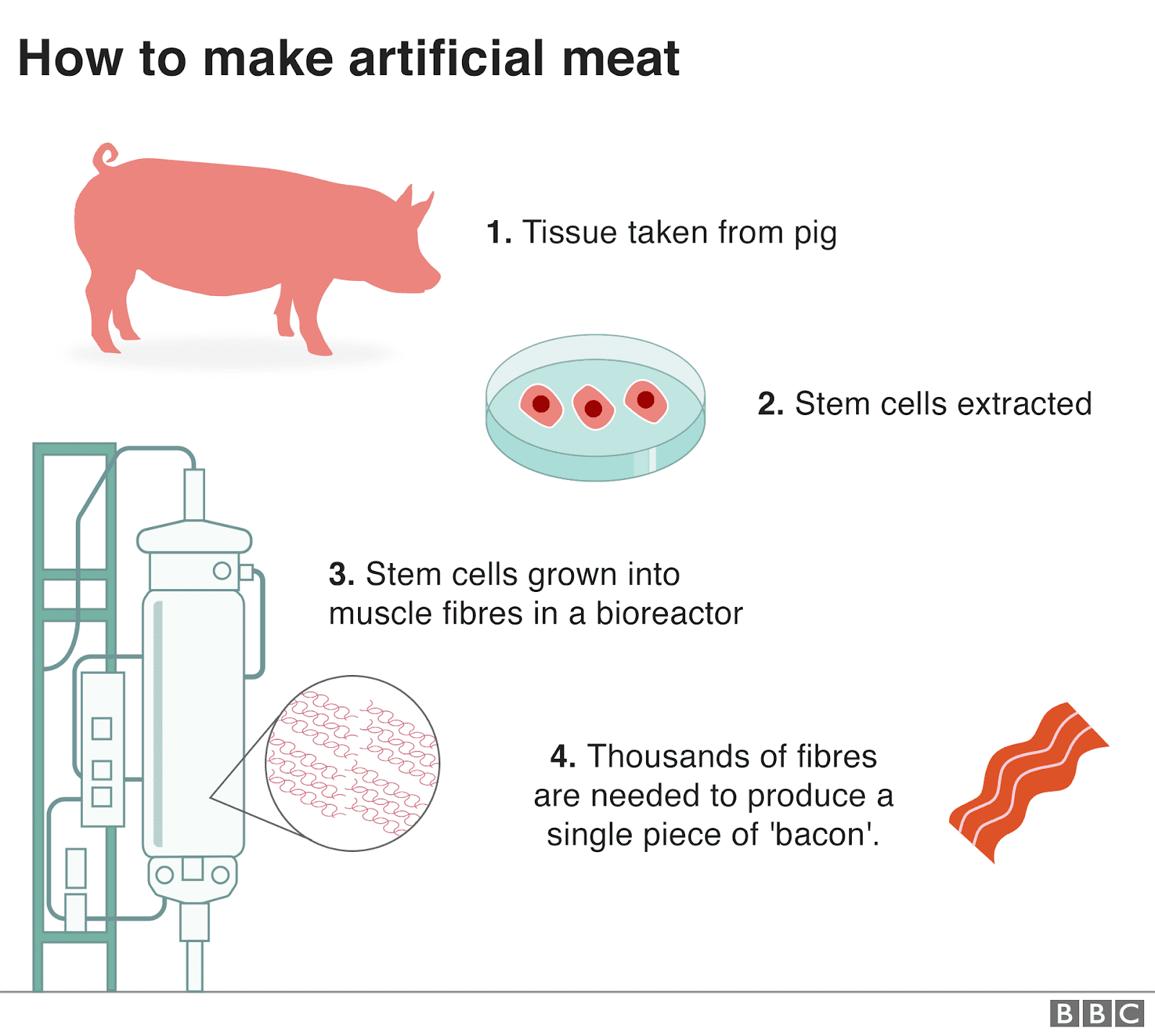 Scientia potentia est First Artificial Beef steak was produced in