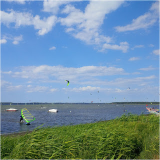 Race Report 2010 Nord Ostsee Kanal Lauf 108k Ultra Kraut Running
