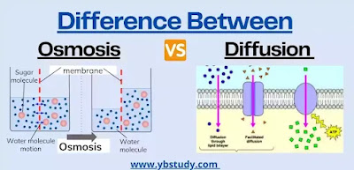 Osmosis vs Diffusion Difference between osmosis and diffusion
