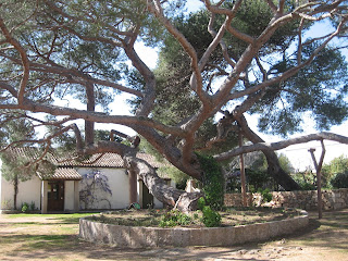 Garibaldi's house is now a museum dedicated to his memory